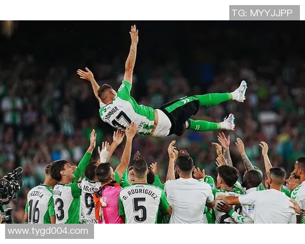 西甲联赛历史出场纪录与球员分析