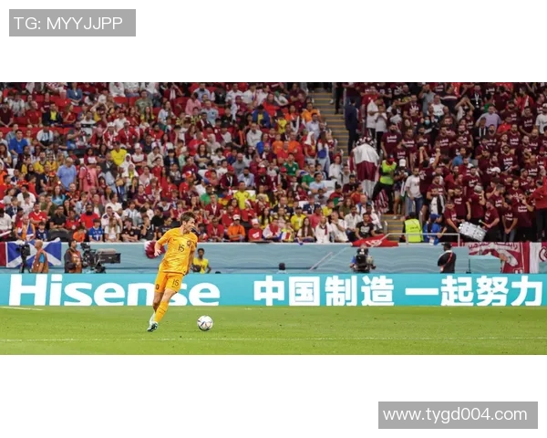 世界杯冠军之路:荣耀背后的拼搏与梦想