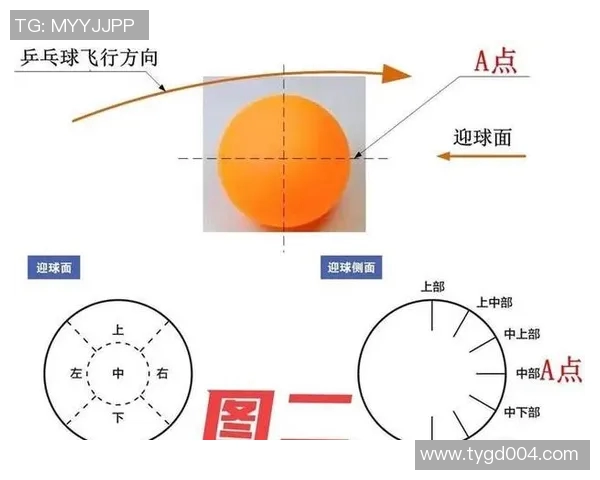 南京乒乓球队的防反策略深度解析与技术探讨